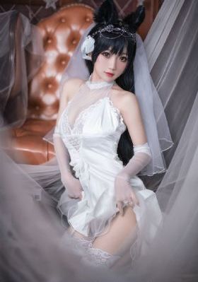 铁齿铜牙纪晓岚第1部免费观看_BD完整视频观看